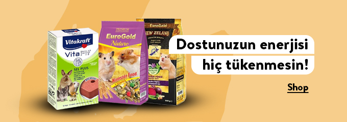 banner/images/BANNERS/HOMEPAGE_BANNERS/type B - 2.jpg